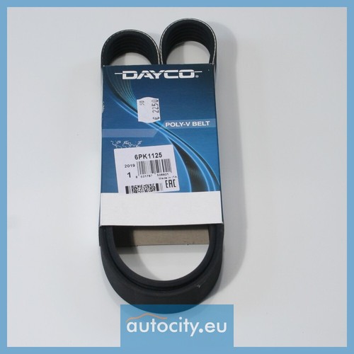 DAYCO 10A1025C Courroie Trapézoïdale