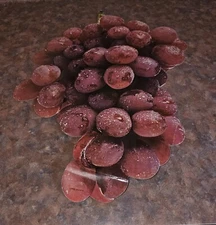 1970s Grocery Store Cardboard Display Red Grape Decoration