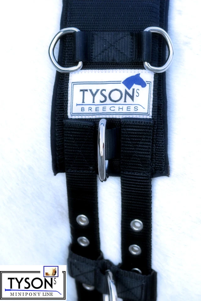 Longiergurt Gurt 16 Ring f. Doppellonge Neopren Minishetty Mini Shetty S P VB WB - Bild 4 von 4