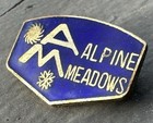 Alpine Meadows Ski Pin Vintage California Hat Pin Souvenir Enamel LOOK 👀 — photo 2