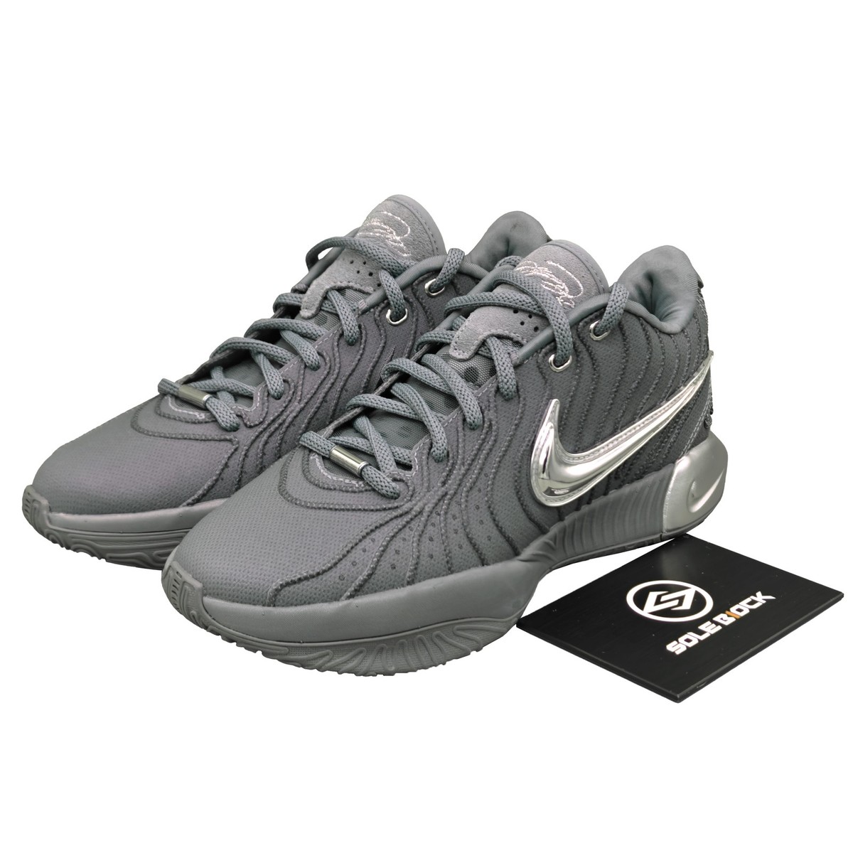 Nike LeBron21 Multi llic Silver レブロン The Nike LeBron 21 