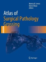 Ekene Okoye / Atlas Of Surgical Pathology Grossing9783030208387