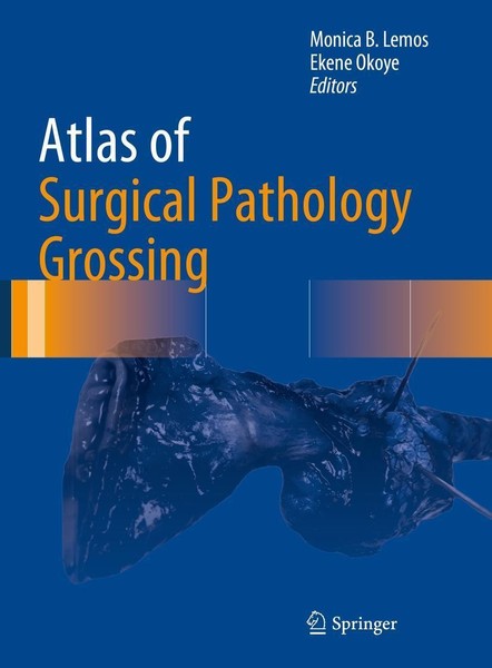 Ekene Okoye / Atlas Of Surgical Pathology Grossing9783030208387-image