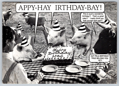 Berkeley CA Pig Sheep Birthday Party Hat Cake Animal Humor Postcard