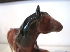 Bild 8 von 15
