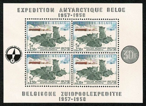 SG36 BELGIEN 1957 MS Belgische Antarktisexpedition MH