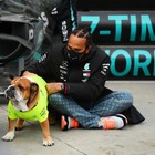 Bild 7 von 12