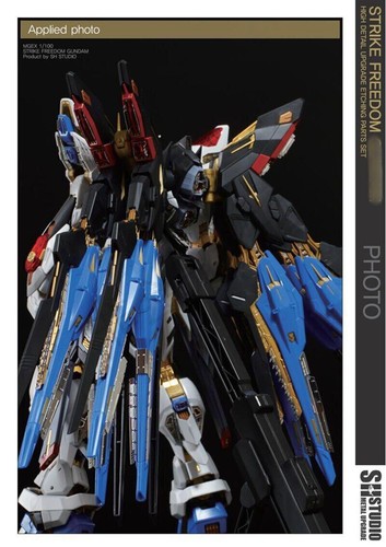 Hojas grabadas para MGEX 1/100 Strike Freedom SH detalles pieza grado maestro extremo - Imagen 15 de 20