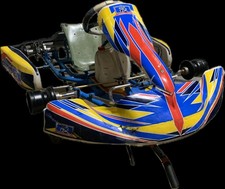 Go Kart Alonso Kart 2018