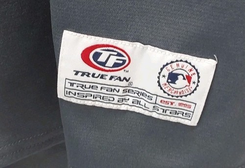Houston Astros True Fan MLB Official XL Jersey Dark Gray Writing Logo. - Picture 8 of 16