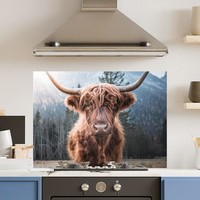 Premium Various Sizes Highland Cow 6mm Glass Toughened Kitchen Splashback