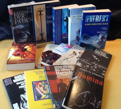 14 Bücher Romane Literatur Erzählungen Everest, in eisigen Höhen, die purpurnen