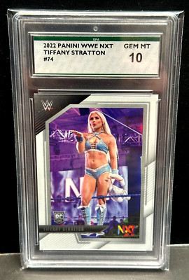 未開封　ＷＷＥ（NXT）新日　フィン．ベイラー（プリンス．デーヴィッド）エリート フィン・ベイラーがIC王座防衛！レインズが復活のスピアー