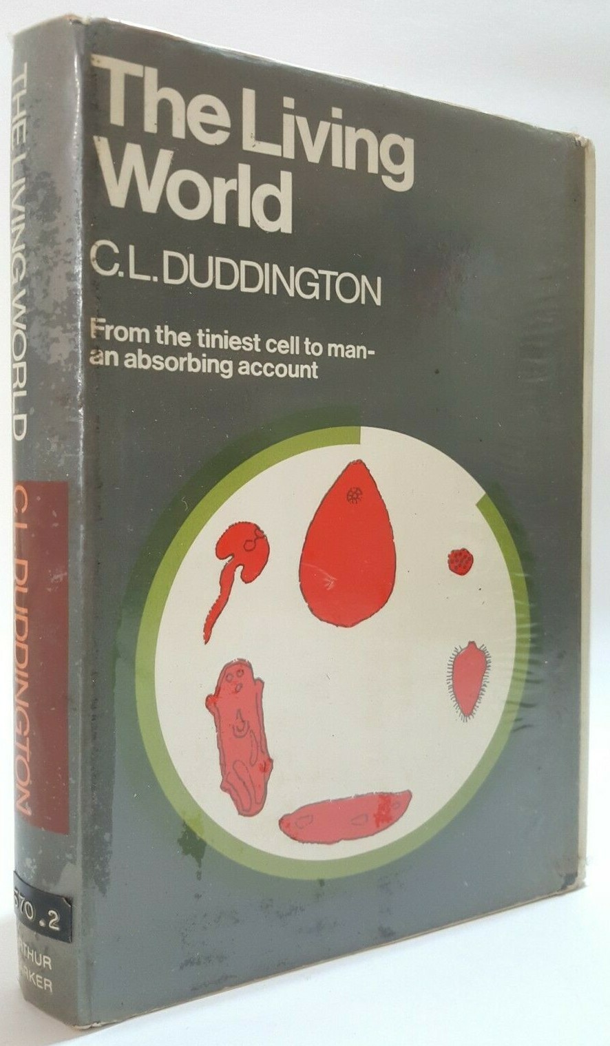 The Living World Dr. C.L. Duddington natural history book insects plants animals