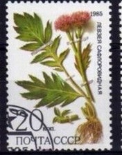 U.R.S.S/RUSSIE 1985  - Yt 5235 -  FLEURS  - Oblitéres -Cote 0.90€