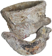 2 Parti 'Antica Grande Anfora Romana Collo E Anse Belle Concrétions