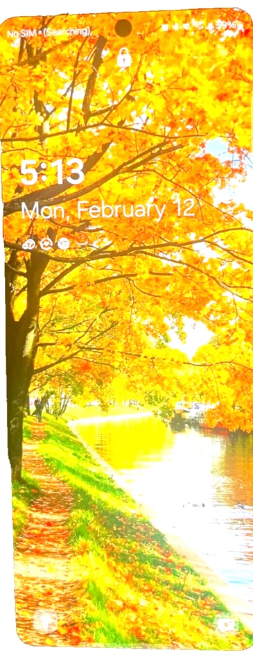 Memoria Samsung Galaxy 5 plegable 512 mg 12 Foto 2 de 4