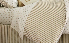 Pottery Barn Teen Emily Meritt Metallic Stripe Polka Duvet Full/Queen SET Shams