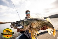 Rapala Walleye Boom Box Lure Selection 7 Baits Bonus