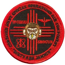 US ARMY 2-149-AVIATION REGIMENT DETACHMENT 6 TASK FORCE CEASAR PATCH