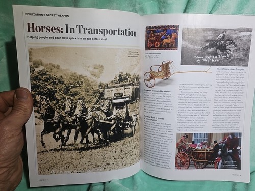 Your Complete Guide To Horses ~ How They Think And Communicate - Picture 4 of 24