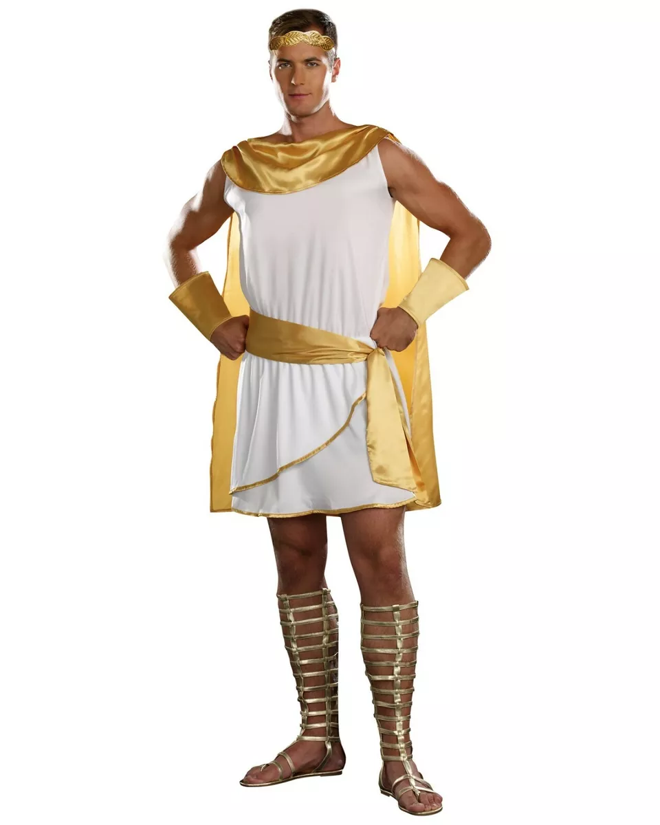 Dreamgirl Hes a God! Mighty Ancient Greek Gold Toga Mens Halloween Costume  8860 | eBay