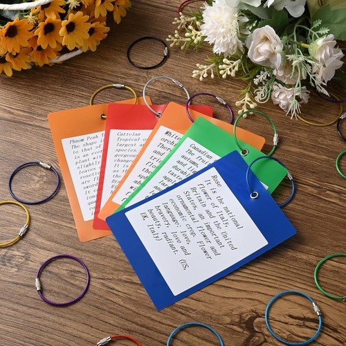 20x Stainless Steel Wire Keychain Cable Key Ring Luggage Tags Loop w/ Screw Lock - Picture 9 of 48