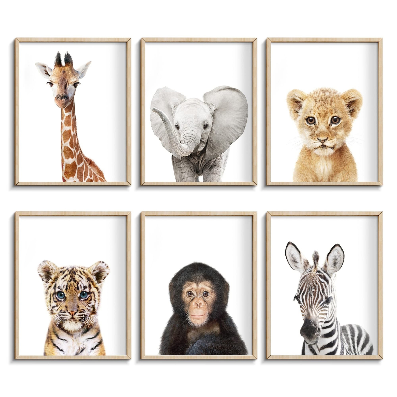 Set of 6 Baby Safari Nursery Wall Decor - Picture Cute Animal Wall Prints on ...