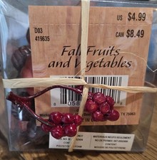 Mini Pumpkins For Display And Crafting NEW IN PACKAGE Ships Free
