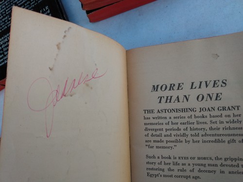 Reincarnation True-Dreams Autobiography Lot Previous Life Historical Novels - Imagen 14 de 19
