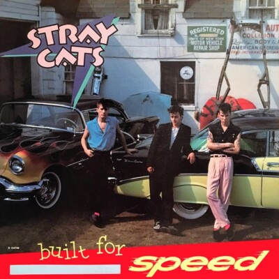 BLACK CATS 1982 U.S.A. TOUR プレート Black Cat with Green Eyes