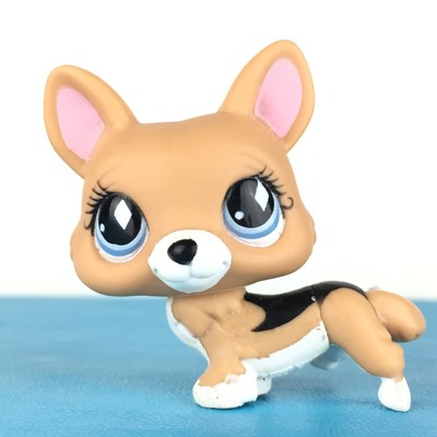lps corgi