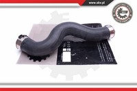Esen SKV Ladeluftschlauch FüR BMW 1Er F20 F21 3Er F30 F80 F35