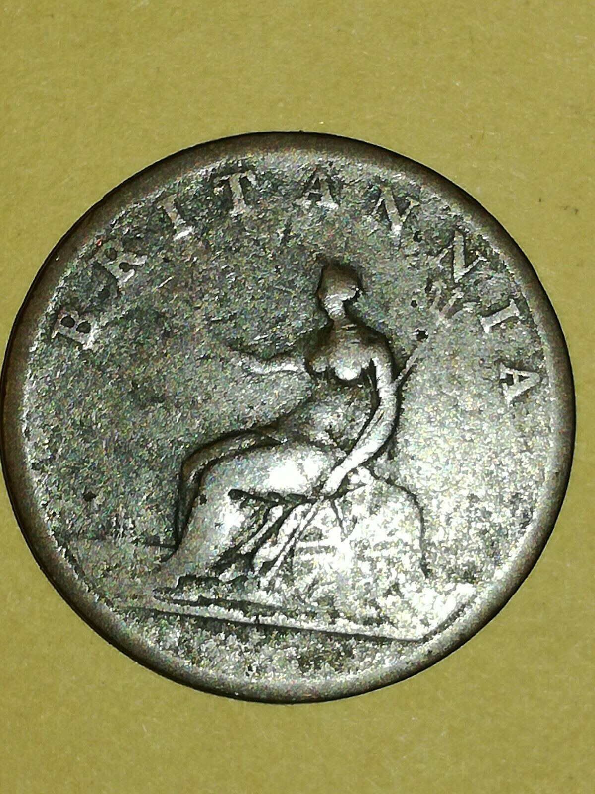 Picture 4 of 4