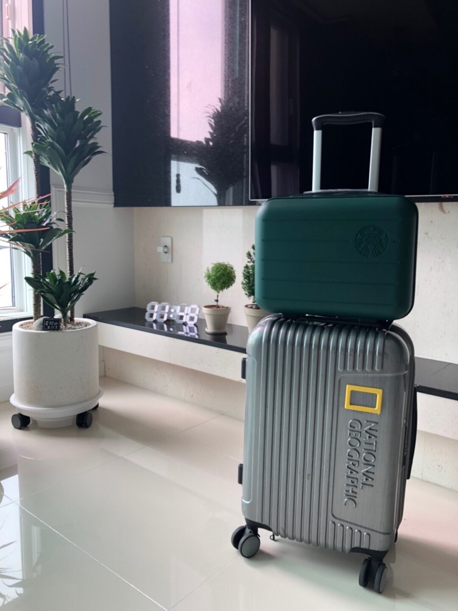 2020 Starbucks Korea Summer Ready Bag/Carry-On Luggage Green/Pink