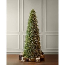 Home Decorators 15 FT SMART Grand Duchess Balsam Fir LED Pre-Lit Tree