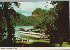 Wailua River Boat to Fern Grotto Kauai Continental Chrome Postcard