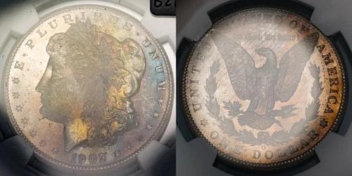 1902-O $1 Morgan Dollar - Rainbow Textured Toning - NGC MS 65 - VIDEO - B2197