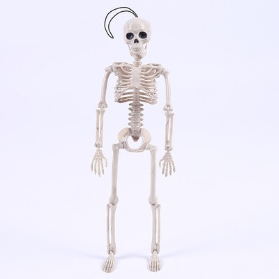 Halloween Human Bones Skeleton Posable Joints Groom Bride Halloween Decora-- _r1