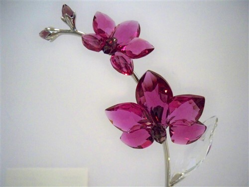 SWAROVSKI LARGE ORCHID 5490755 FLOWER DREAMS | eBay SWAROVSKI LARGE ORCHID 5490755 FLOWER DREAMS | eBay