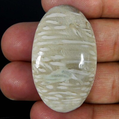 Natural Palm Root Agate Oval Cabochon 32.25Cts. Reiki Healing Loose Gemstone