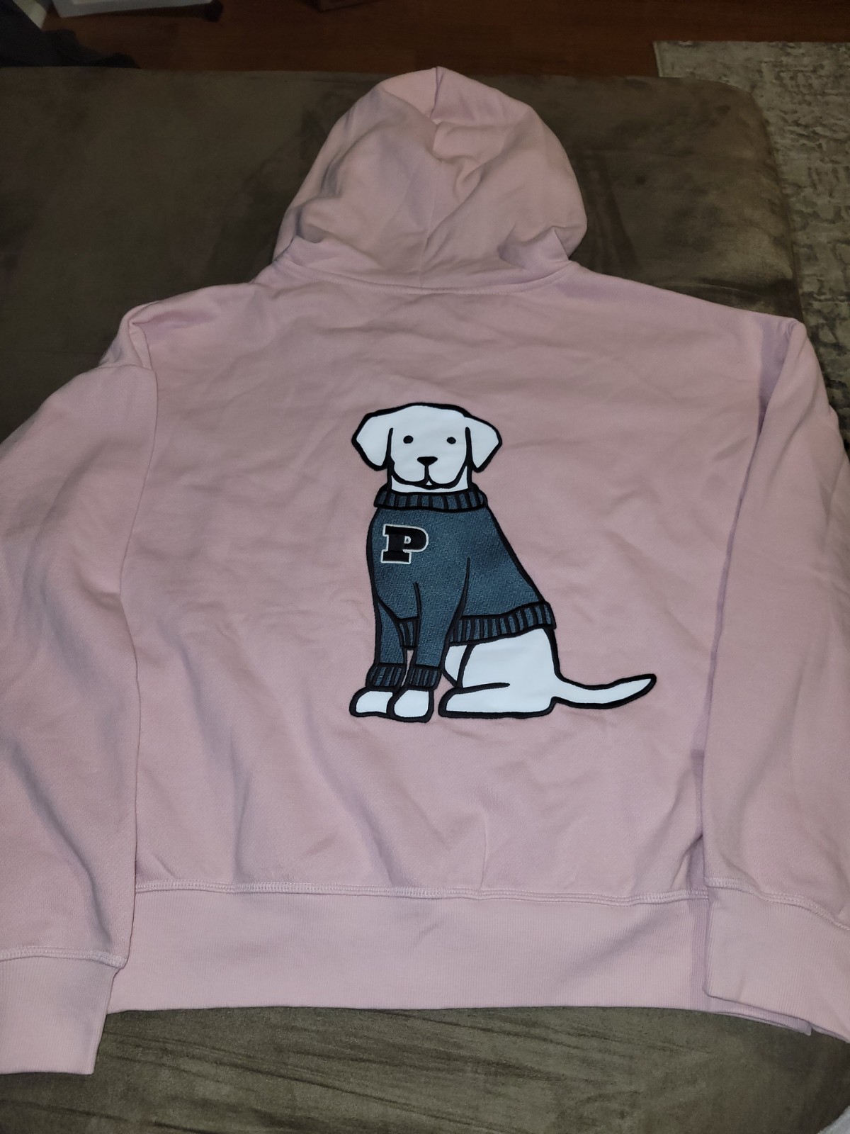 Medium Light Pink Zip-down Hood Jacket w/ Dog Wearing Varsity Sweater By PINK🩷