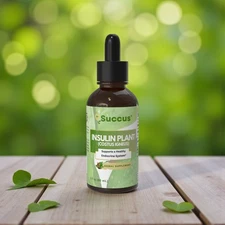 Costus Igneus Insulin Plant Leaves Tincture - Herbal Extract