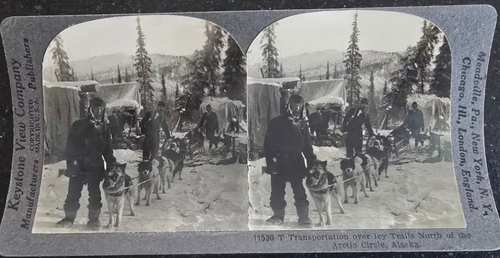 Keystone Stereo View, Dog Sled Team, Arctic Circle, Alaska, #11530 - Picture 1 of 2