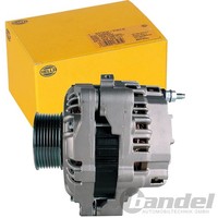 Hella Lichtmaschine Generator 100A | 8EL 012 584-511