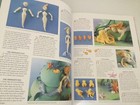 Foto 6 di 11