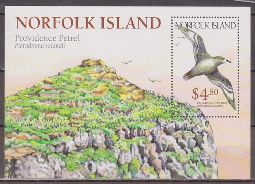 Norfolk Island 1999 Endangered Species/Petrels $4.5 Mini-Sheet SG MS702 MNH BIRD