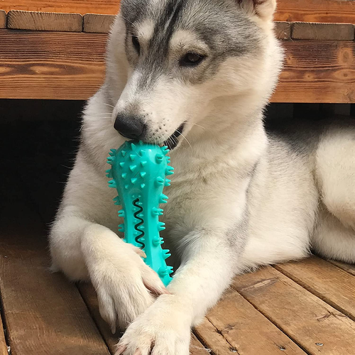 Juguetes para masticar perros para masticadores agresivos, juguetes duraderos para limpiar dientes de mascotas juguetes para perros - Imagen 4 de 13