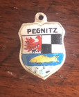 Vintage Pegnitz 800 Silver Travel Shield Souvenir Enamel Bracelet Charm Reu — photo 1