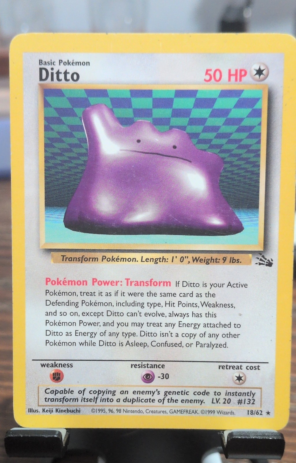 Ditto 18/62 Fossil Regular